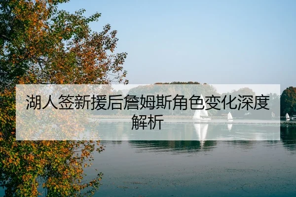 湖人签新援后詹姆斯角色变化深度解析